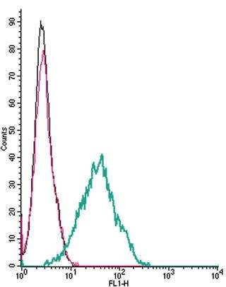 Anti-CNTFRα (extracellular) Antibody