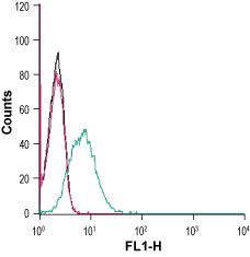 Anti-CRF2/CRHR2 (extracellular) Antibody