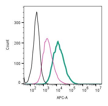 Anti-CX3CR1 (extracellular)-APC Antibody