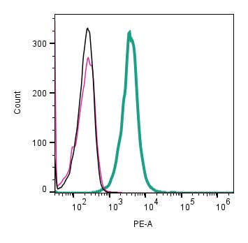 Anti-CRLR/CALCRL (extracellular)-PE Antibody