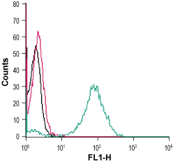 Anti-Human GPR55 (extracellular) Antibody