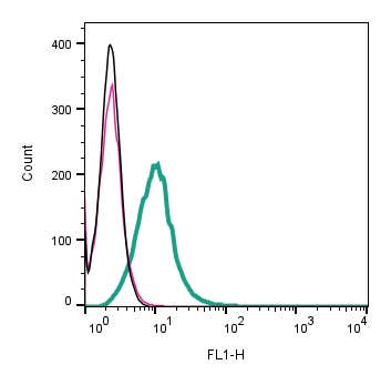 Anti-CTL1 (SLC44A1) (extracellular) Antibody