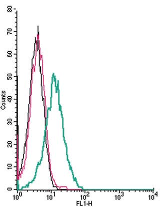 Anti-D<sub>2</sub> Dopamine Receptor (extracellular) Antibody