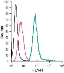 Anti-EMR1 (ADGRE1) (extracellular)-FITC Antibody