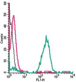 Anti-EMR1 (ADGRE1) (extracellular) Antibody
