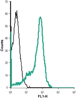 Anti-Human FPR1 (extracellular)-ATTO Fluor-488 Antibody