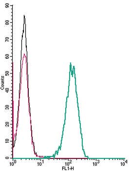 Anti-Human FPR1 (extracellular) Antibody