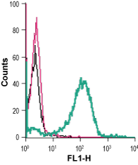 Anti-Human GPR43/FFAR2 (extracellular) Antibody