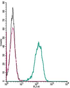 Anti-Frizzled-2 (FZD2) (extracellular) Antibody