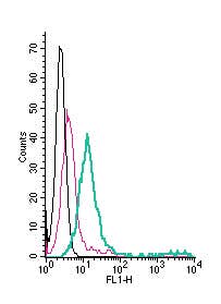 Anti-GABA(A) α1 Receptor (extracellular)-FITC Antibody