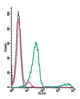 Anti-GABA(B) Receptor 1 (extracellular)-FITC Antibody
