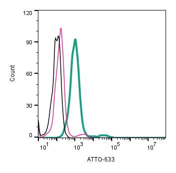 Anti-EAAT2 (GLT-1) (extracellular)-ATTO Fluor-633 Antibody