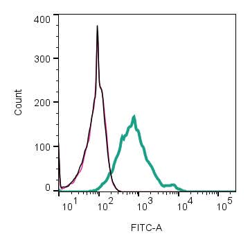 Anti-NETO2 (extracellular)-FITC Antibody