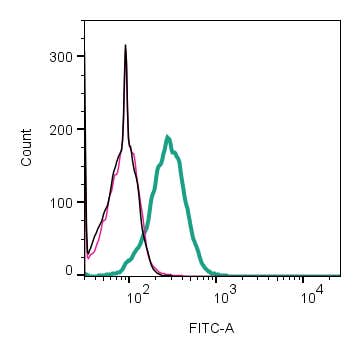 Anti-NETO1 (extracellular) Antibody