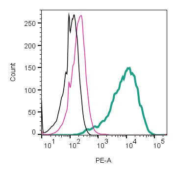 Anti-GLP1R (extracellular)-PE Antibody