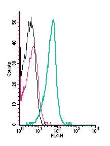 Anti-GnRH Receptor (extracellular) Antibody