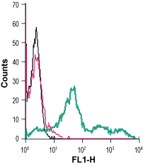 Anti-Ghrelin Receptor (GHSR) (extracellular)-FITC Antibody