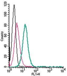 Anti-GPR68 (OGR1) (extracellular)-FITC Antibody