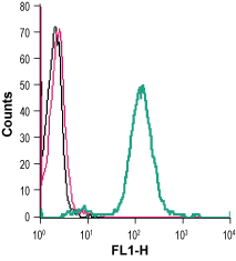 Anti-GPR68 (OGR1) (extracellular) Antibody