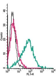 Anti-GPR39 (extracellular) Antibody