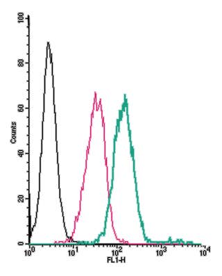 Anti-Human GPR132/G2A (extracellular)-FITC Antibody