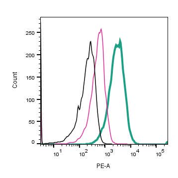 Anti-GPR171 (extracellular)-PE Antibody