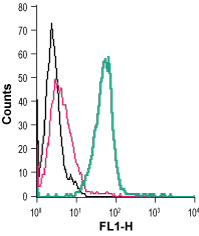 Anti-GPR34 (extracellular)-FITC Antibody