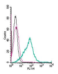 Anti-GPR174 (extracellular)-FITC Antibody