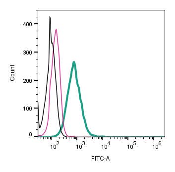 Anti-GPR142 (extracellular)-FITC Antibody