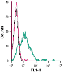 Anti-GLUT1 (extracellular)-FITC Antibody