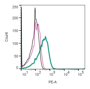 Anti-GLUT1 (extracellular)-PE Antibody