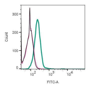 Anti-HVCN1 Antibody