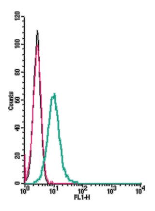 Anti-Human Histamine H<sub>4</sub> Receptor (HRH4) (extracellular) Antibody