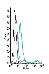 Anti-Histamine H1 Receptor/HRH1 (extracellular)-FITC Antibody