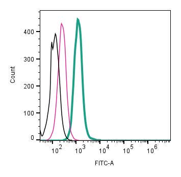 Anti-KISS1 Receptor (GPR54) (extracellular)-FITC Antibody