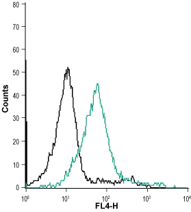 Mouse Anti-Human Orai1 (extracellular) Antibody