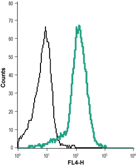 Mouse Anti-KCNN4 (K<sub>Ca</sub>3.1, SK4) (extracellular)-Biotin Antibody
