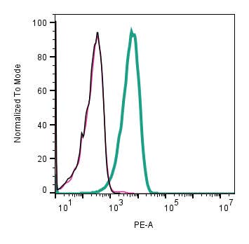 Mouse Anti-KCNN4 (K<sub>Ca</sub>3.1, SK4) (extracellular)-PE Antibody