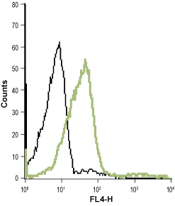 Anti-Human BLT1 (extracellular) Antibody