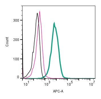 Anti-Human CysLTR2 (extracellular) Antibody