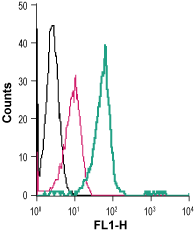 Anti-LPAR2 (EDG4) (extracellular)-FITC Antibody