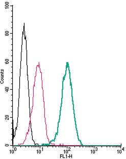 Anti-LPAR2 (EDG4) (extracellular) Antibody