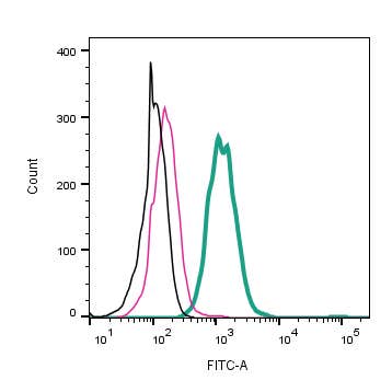Anti-CLEC7A/Dectin-1 (extracellular)-FITC Antibody