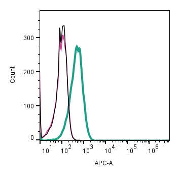 Anti-Human MRGPRX2 (extracellular) Antibody