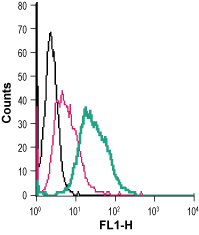 Anti-Dopamine Transporter (DAT) (extracellular)-FITC Antibody
