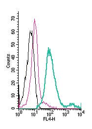 Anti-MCT1 (SLC16A1) (extracellular)-APC Antibody