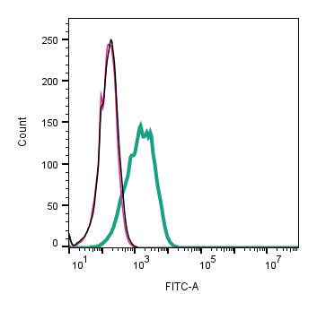 Anti-Ephrin-B1 (extracellular) Antibody