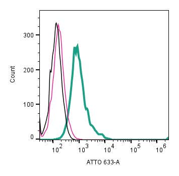 Anti-Nicotinic Acetylcholine Receptor α7 (CHRNA7) (extracellular)-ATTO Fluor-633 Antibody
