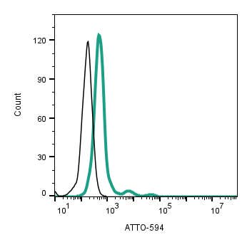 Anti-Nicotinic Acetylcholine Receptor β2 (CHRNB2) (extracellular)-ATTO Fluor-594 Antibody