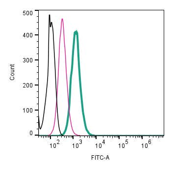 Anti-Beta 2 Na+/K+ ATPase (extracellular)-FITC Antibody
